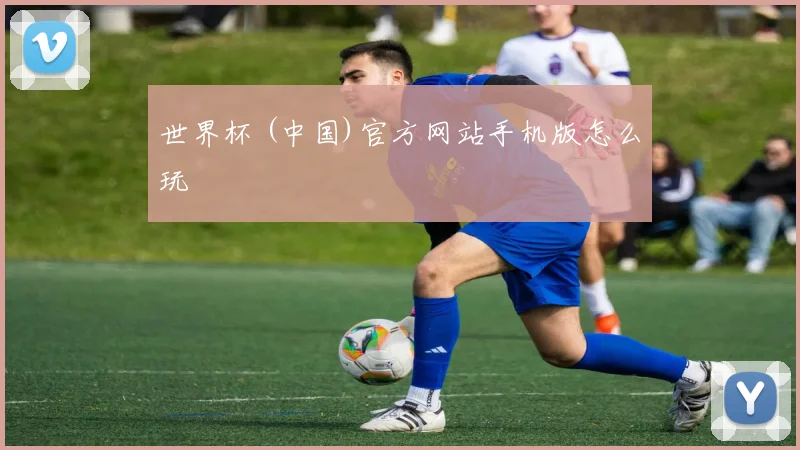 世界杯 (中国)官方网站手机版怎么玩