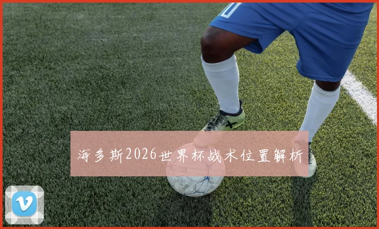 海多斯2026世界杯战术位置解析