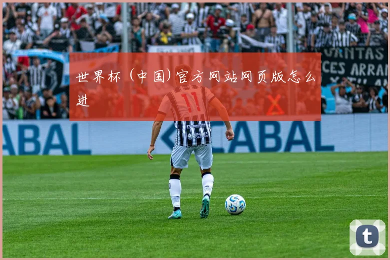 世界杯 (中国)官方网站网页版怎么进