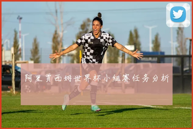 阿里贾西姆世界杯小组赛任务分析