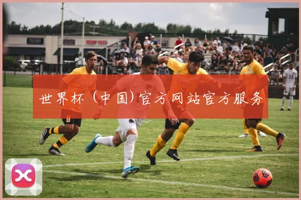 世界杯 (中国)官方网站官方服务