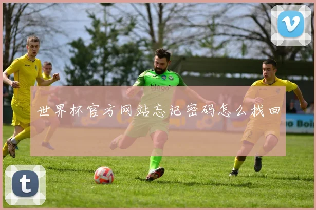 世界杯官方网站忘记密码怎么找回