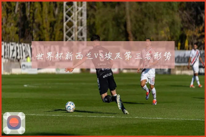 世界杯新西兰vs埃及第三名形势